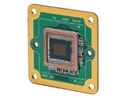 Product image of  The Imaging Source DFM 36SR0521-ML